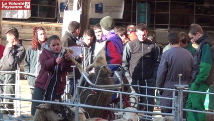 Ovinpiades Aveyron 2017