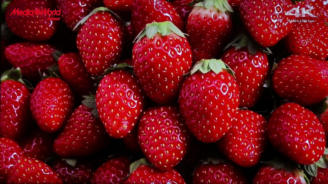 Sony X83C 4K Ultra HD Android TV - Recensione ITA