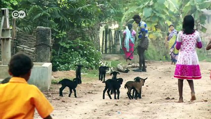 La luz llegó a pueblos de la India | Reporteros en el mundo