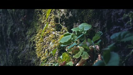 Samsung Galaxy S6 Cinematic Test 4K_UHD - Android