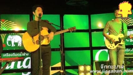potato live mini concert