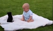 Funny Fight Dog VS Baby _ Funny Video for Kids _ Funny Clip Dogs & Kids