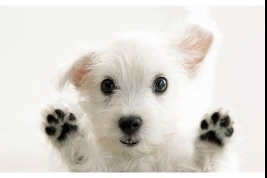 I see Birthday cake! I see it! I see it! I know it's YOUR Birthday, BUT...