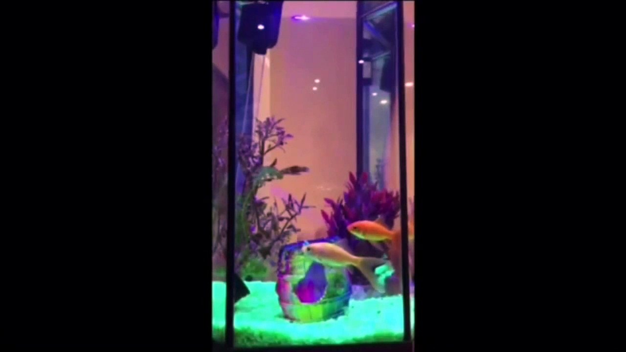 Day 25 - Cara Delevingne by Poppy Delevingne (LOVE Advent 2015)