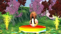 Horse ,Sheep And Goat 3D Animation Nursery Rhymes - Rhymes For Collection