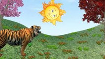 Animal Songs Collection - Nursery Rhyme Songs - Kids Animals songs