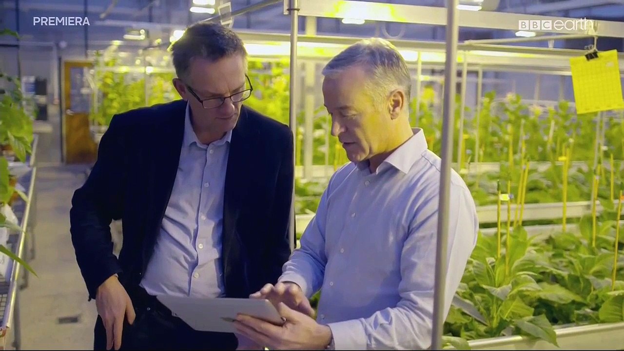 E-Papierosy Rozwiazanie Czy Zagrozenie PL 720p HDTV x264-SE