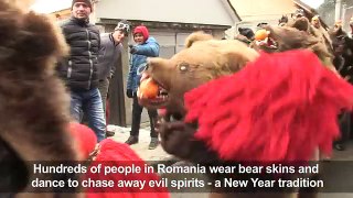 Romania_ Bear dance to chase away evil spirits before New Year