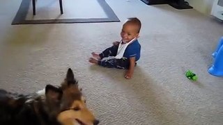 Dog Makes Baby Laughing (Best Funny Videos - Fun)