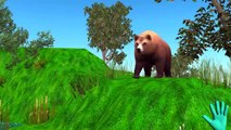 Bear Finger Family Collection | Cartoon Animals | Animals Cartoon Finger Family Rhymes for Children