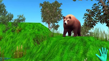 Bear Finger Family Collection | Cartoon Animals | Animals Cartoon Finger Family Rhymes for Children