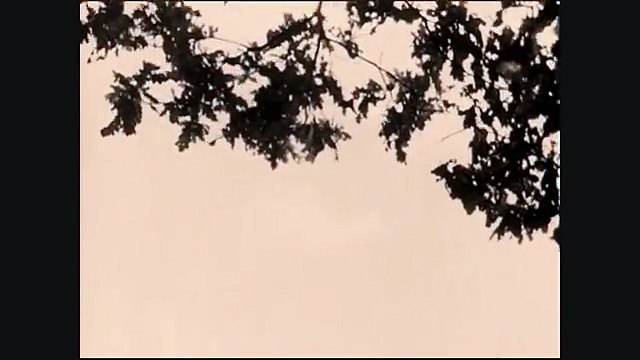 До свидания, мальчики