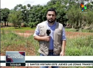 Paraguay: denuncia senadora nuevos ataques a campesinos de Guahory
