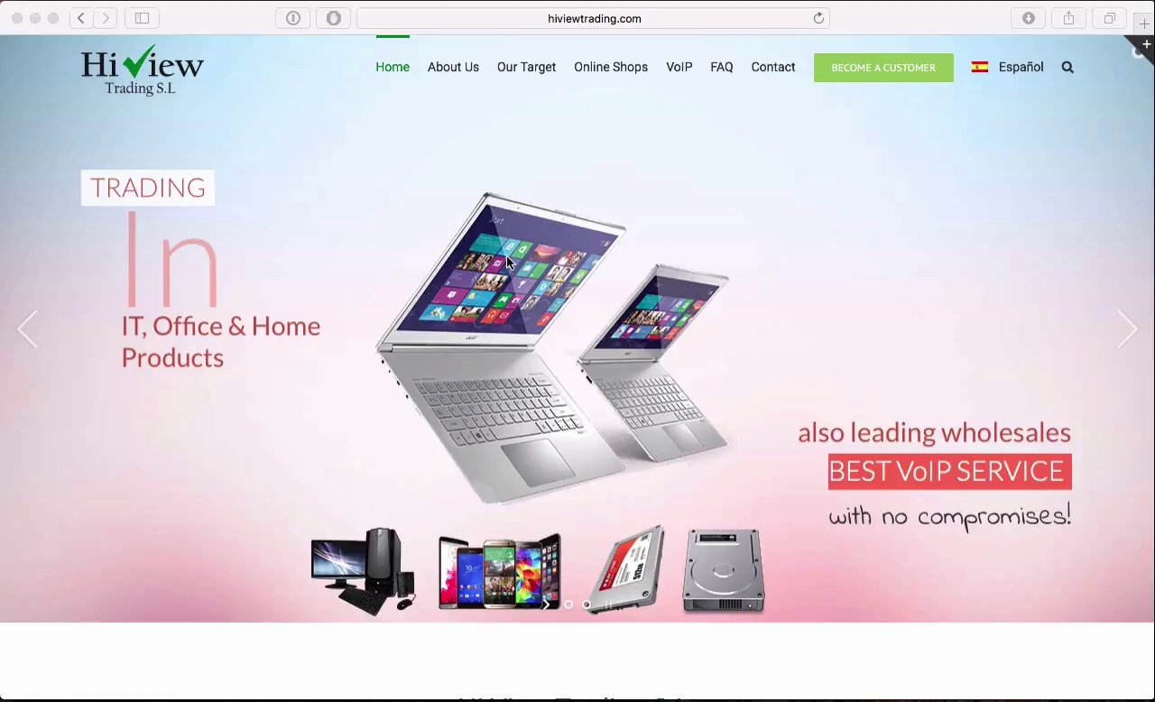 Website Demo – Hi View Trading