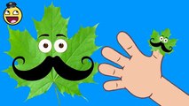 Baby Song | Funny Maple Leaf Finger Family | Father Finger Where Are You