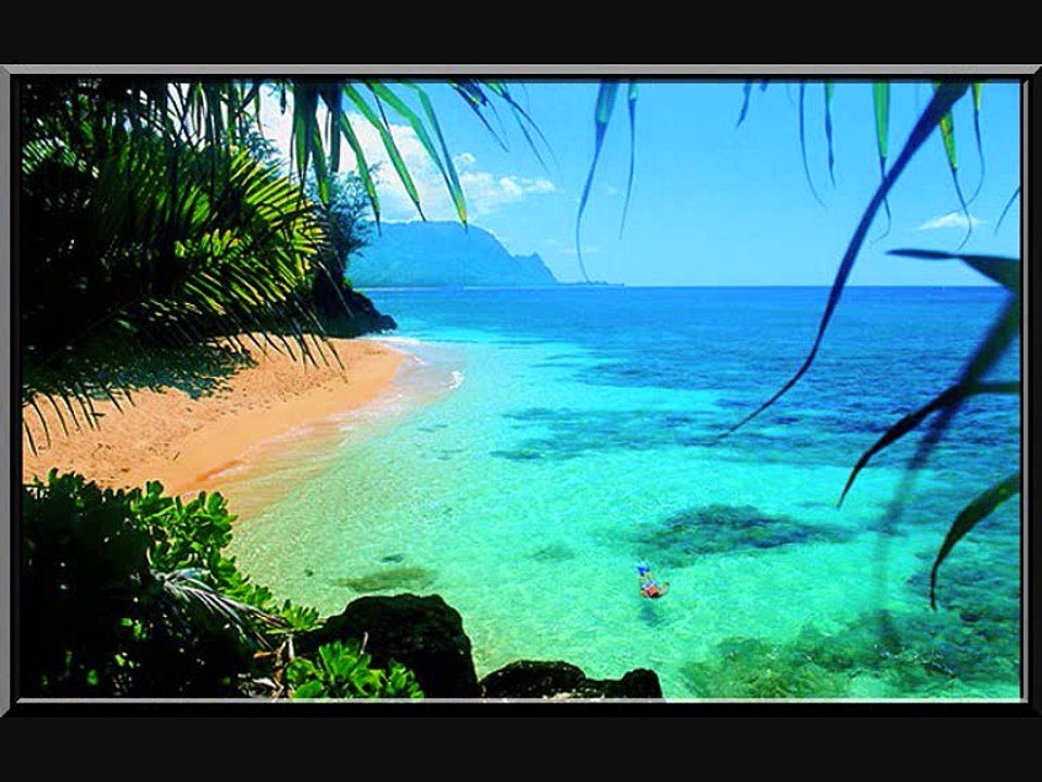 Archives Elvis Presley, incredible sound By Skutnik Michel