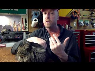 Feline Critic Delivers Compleley Serious Review of Maine Coon