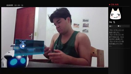 アニメとゲームについての話 (49)