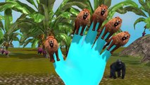 Top 3D Animated Lion Finger Family Rhymes For Children | Lion Finger Family Songs