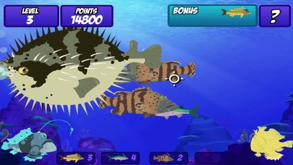 Frogfish Feast - Wild Kratts Games - PBS KIDS