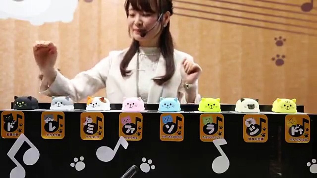 據說彈完呢首喵之進行曲既人，新一年桃花運都會不錯哦！