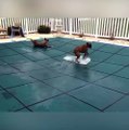 Boxers love swimming pool