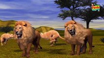 Finger Family Lion 3D for Children | Lion Finger Family 3D | Animals Cartoons Finger Family