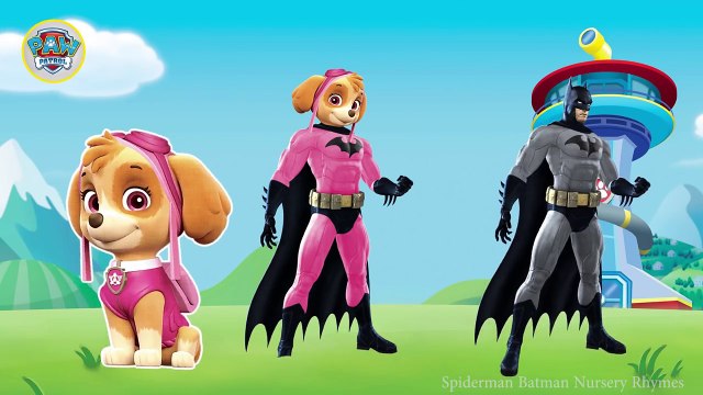 Paw Patrol Transforms Into Batman Finger Family Song - Batman as Paw Patrol Nursery Rhymes for kids