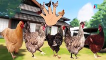 Chicken Finger Family Nursery Rhymes For Children Finger Family Animation Nursery Rhymes