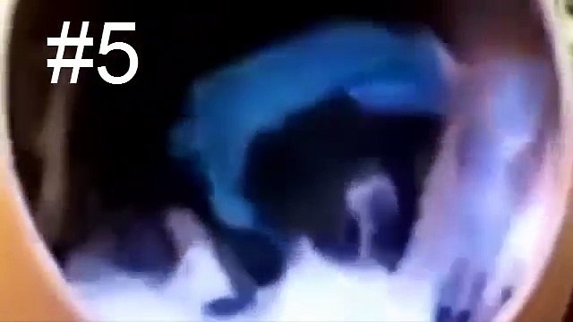 10 Sáng chế của những bác nông dân khiến các nhà khoa học phải đau đầu