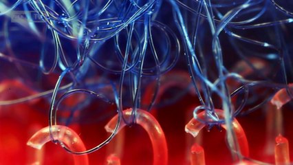 Những phát minh tình cờ và đầy bất ngờ thay đổi cuộc sống của bạn