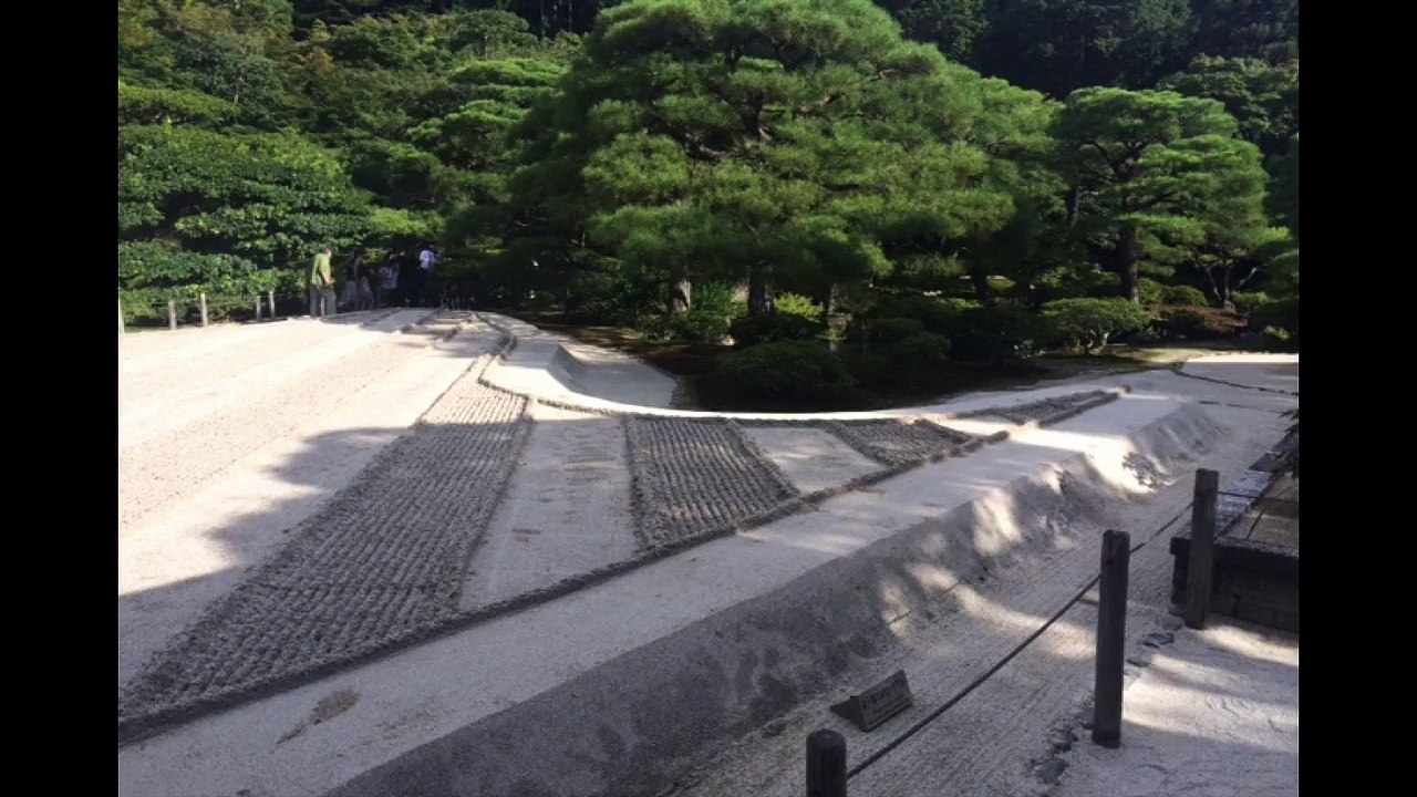 9 Mindfulness Exercise Muscle Tension