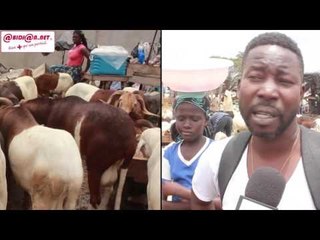 Tabaski  : Coût élevé du mouton, les vendeurs et clients se prononcent