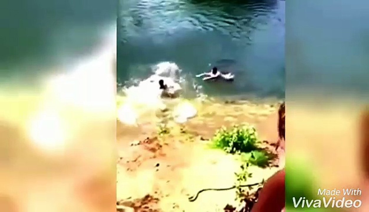 New funny vedio best funny 2017- ウェブ全体から検索  funny vedeo  - ニュースから検索