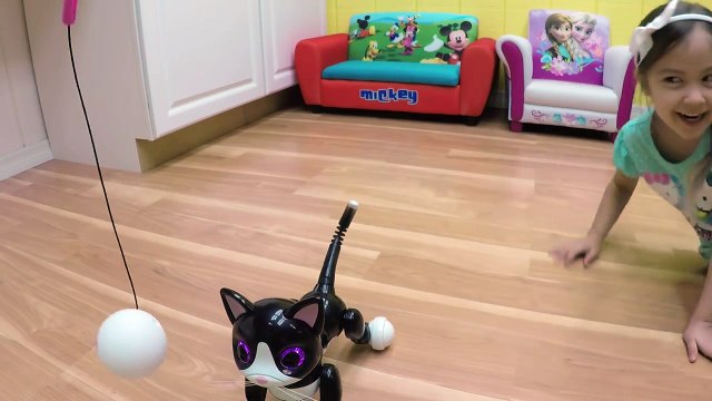 CUTE ZOOMER KITTY & ZUPPIES PUPPY Interactive Pets Pet Puppy Cute Kitten Cat Toy Opening Kids Toys