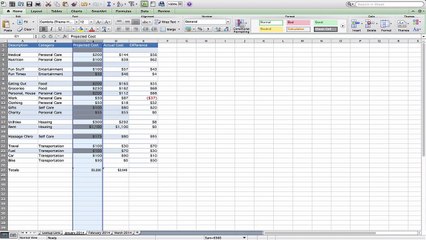 21 Real-Life Example My Budget