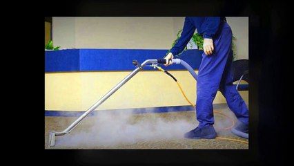 Deep Carpet Cleaning in Pearland, TX - Benefits Of Hiring A Carpet Cleaning Professional