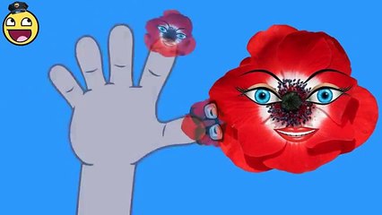 Crazy Videos | Crazy Finger Family Poppy | Daddy Finger Nursery Rhymes