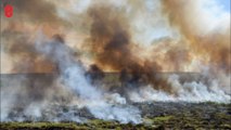 Un million d'hectares de pampa partent en fumée en Argentine