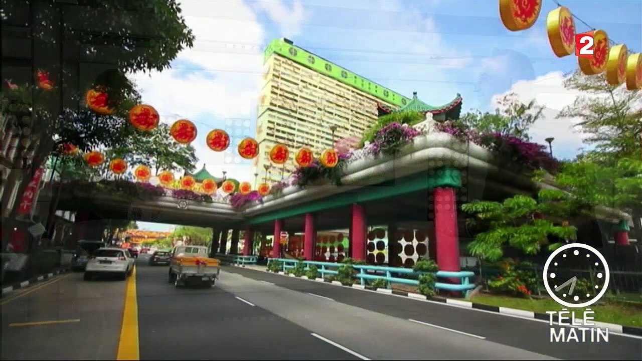 Jardin - Singapour : des plantes sous cloches