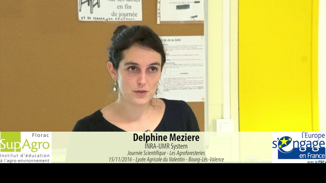 JS 2016 : Delphine Meziere - RMT Agroforesteries