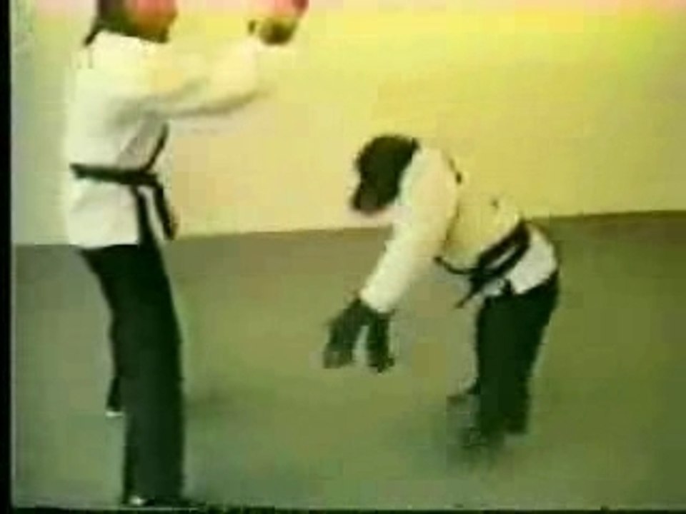 Singe_karateka