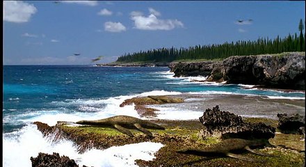 Dinosaurier.Im.Reich.der.Giganten.E03.Eine.grausame.See