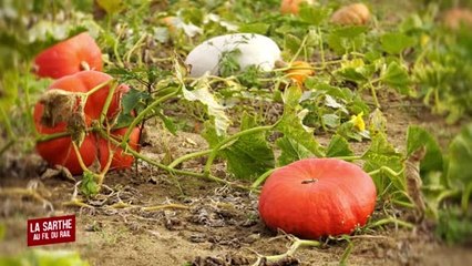 100% Sarthe : La Sarthe au Fil du Rail - Jardin Potager de Bonnetable