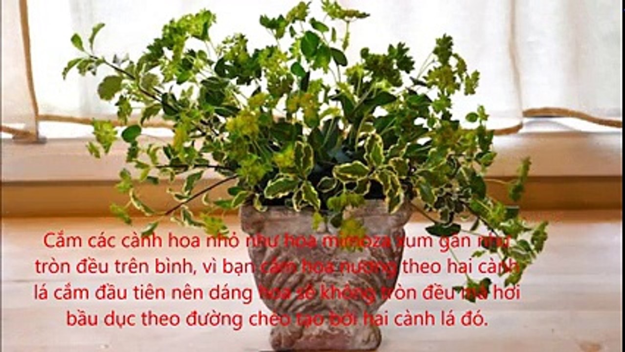 Hướng dẫn cắm hoa cho ngày 20-10