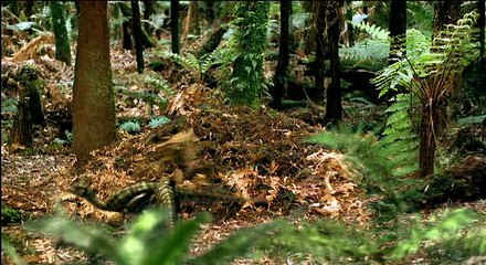 Dinosaurier.Im.Reich.der.Giganten.E05.Die.Geister.der.Urzeitwaelder
