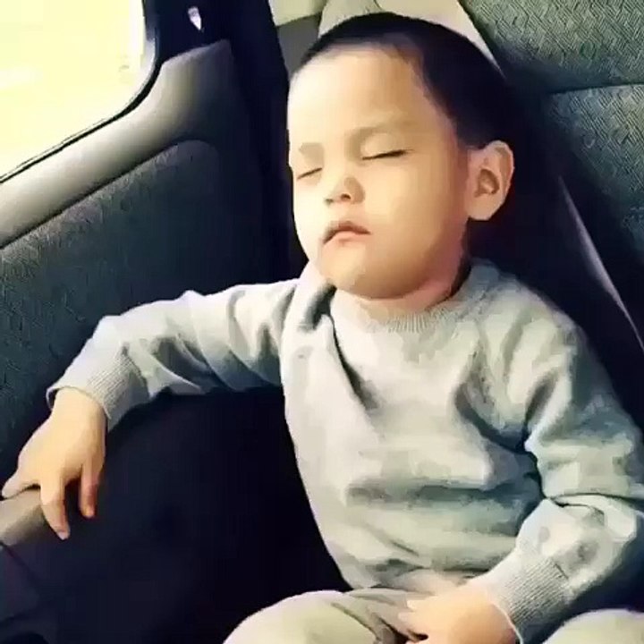 best funny video clip