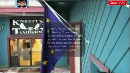 History Alaska Salvaje Capitulo 5 Depredador vs Presa Español Latino