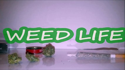 How to roll COLORADO joint WEED Comment rouler un joint a la hollandaise AMSTERDAM PARIS 2017-ejRQjCecMoY