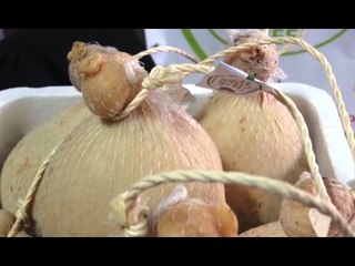 Zungoli (AV) - La Befana per il Festival della Cinegustologia (05.01.17)